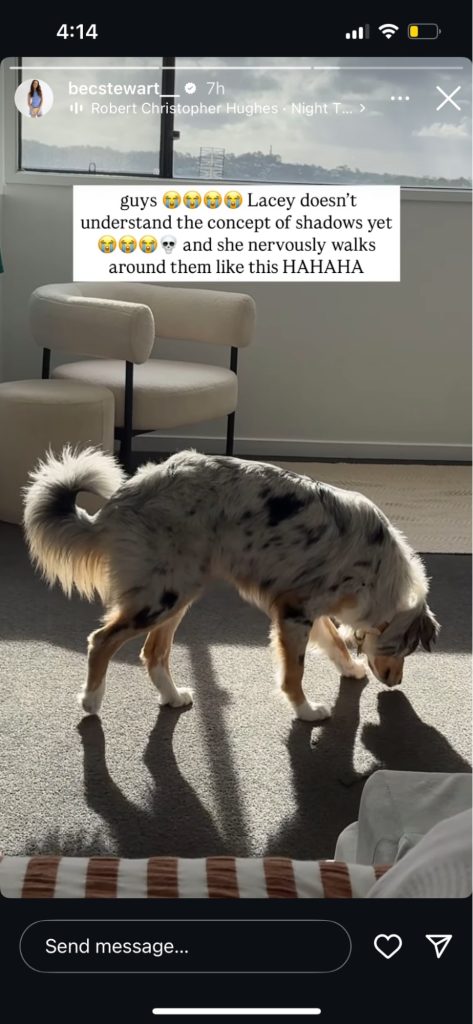 Instagram-story-layout-ideas